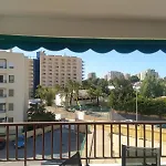 L'eucaliptus * Aguadulce (Almeria)